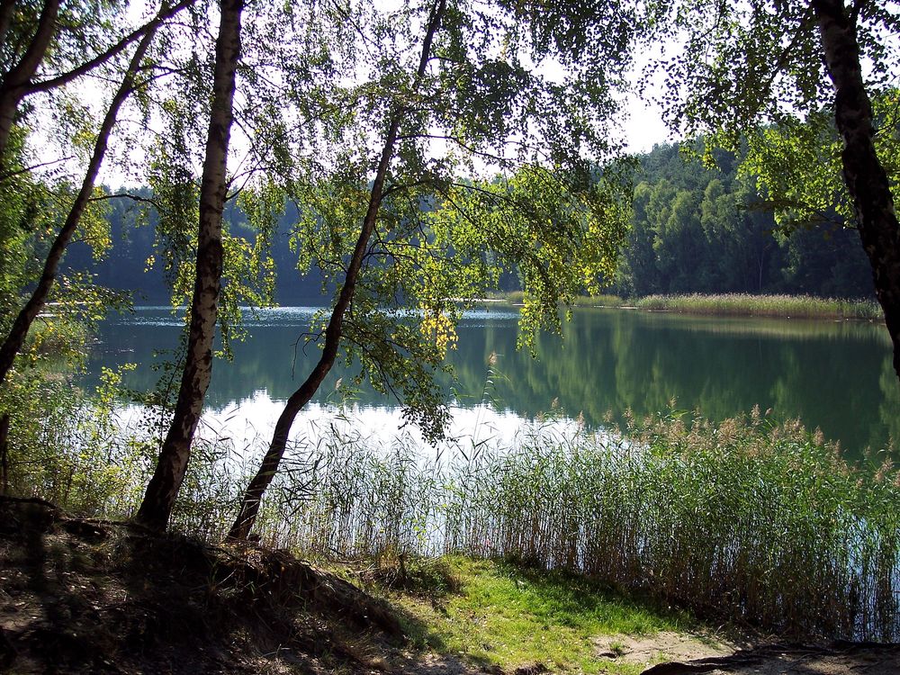 am alten Tagebau