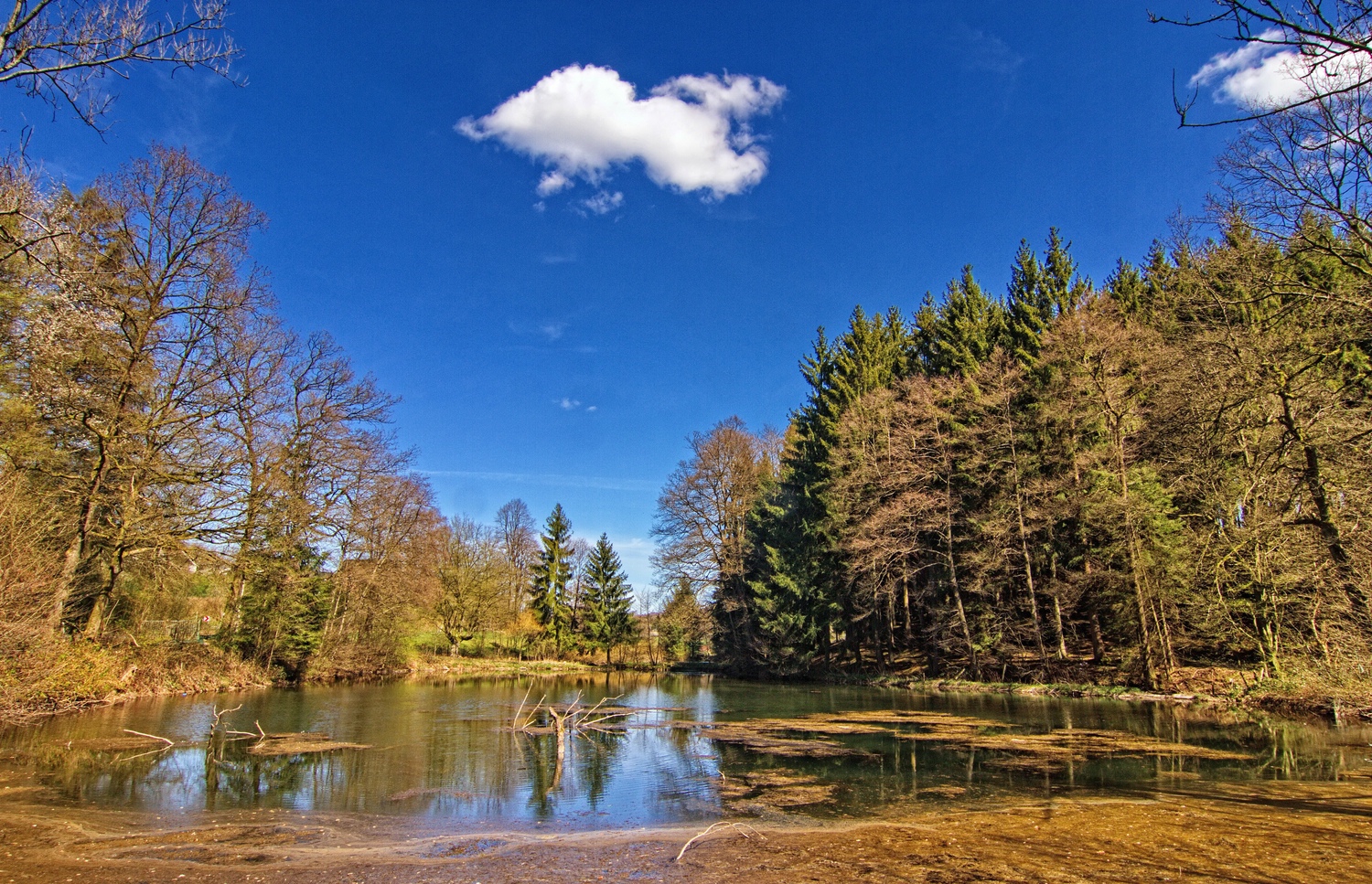Am alten Teich Foto & Bild deutschland, europe, nordrhein westfalen