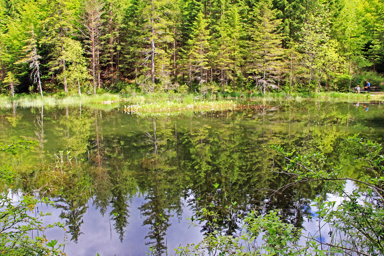 am alten Tristacher See