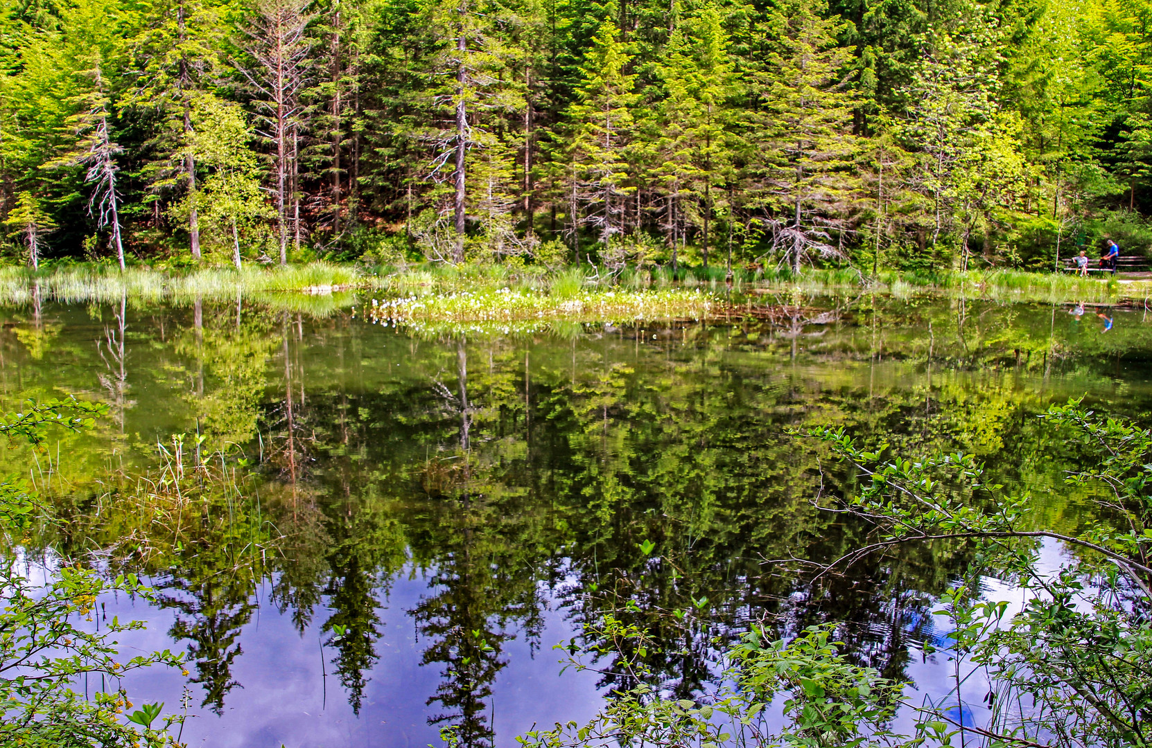 am alten Tristacher See