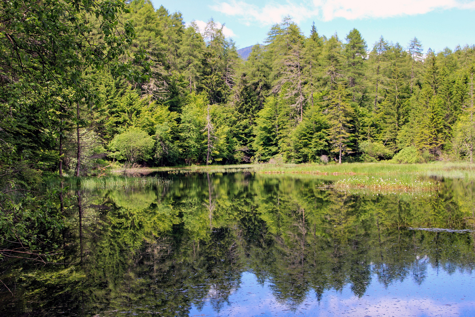 am alten Tristachersee