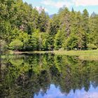 am alten Tristachersee