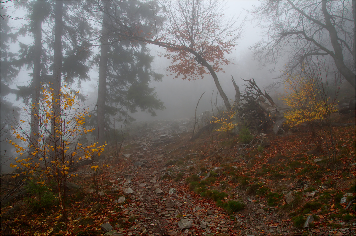 Am Altkönig im Taunus