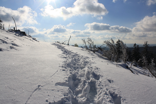 Am Altkönig (Taunus)