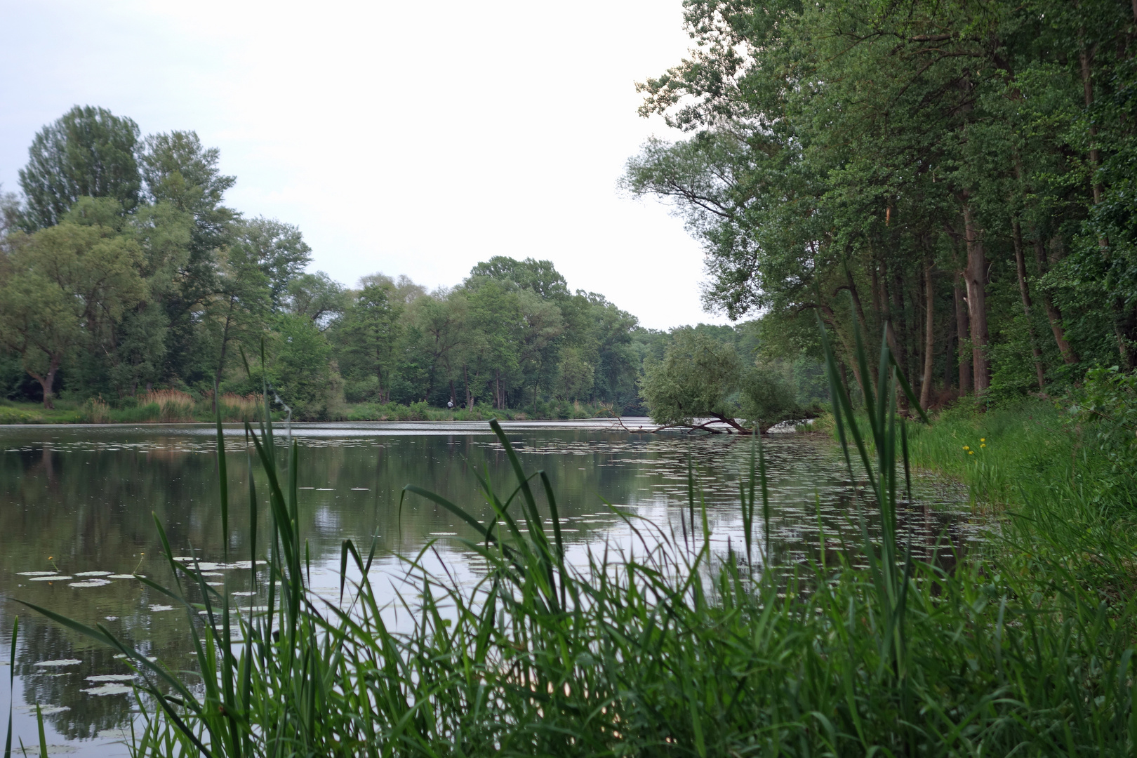 am Altmain bei Haßfurt