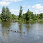 am Altmühlsee 1