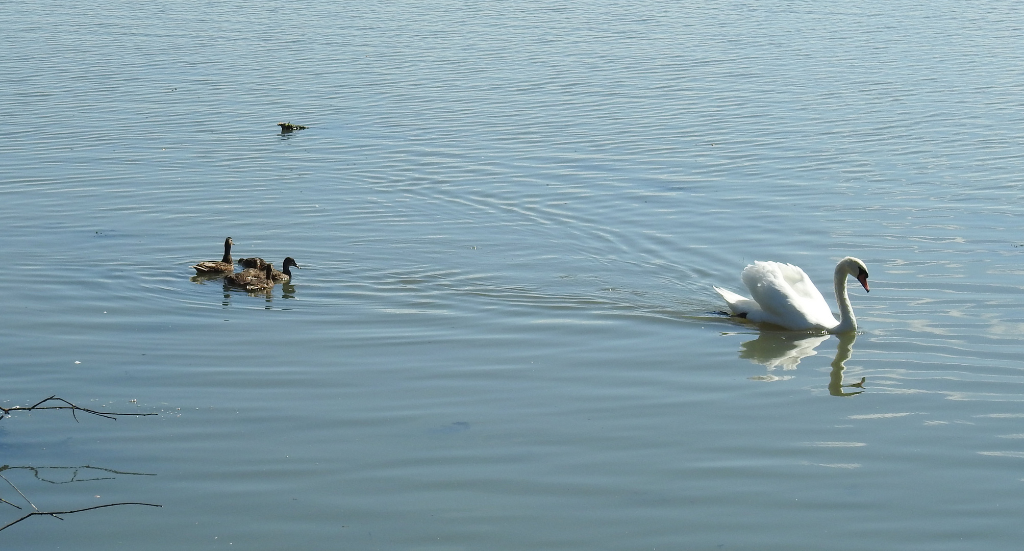 am Altmühlsee