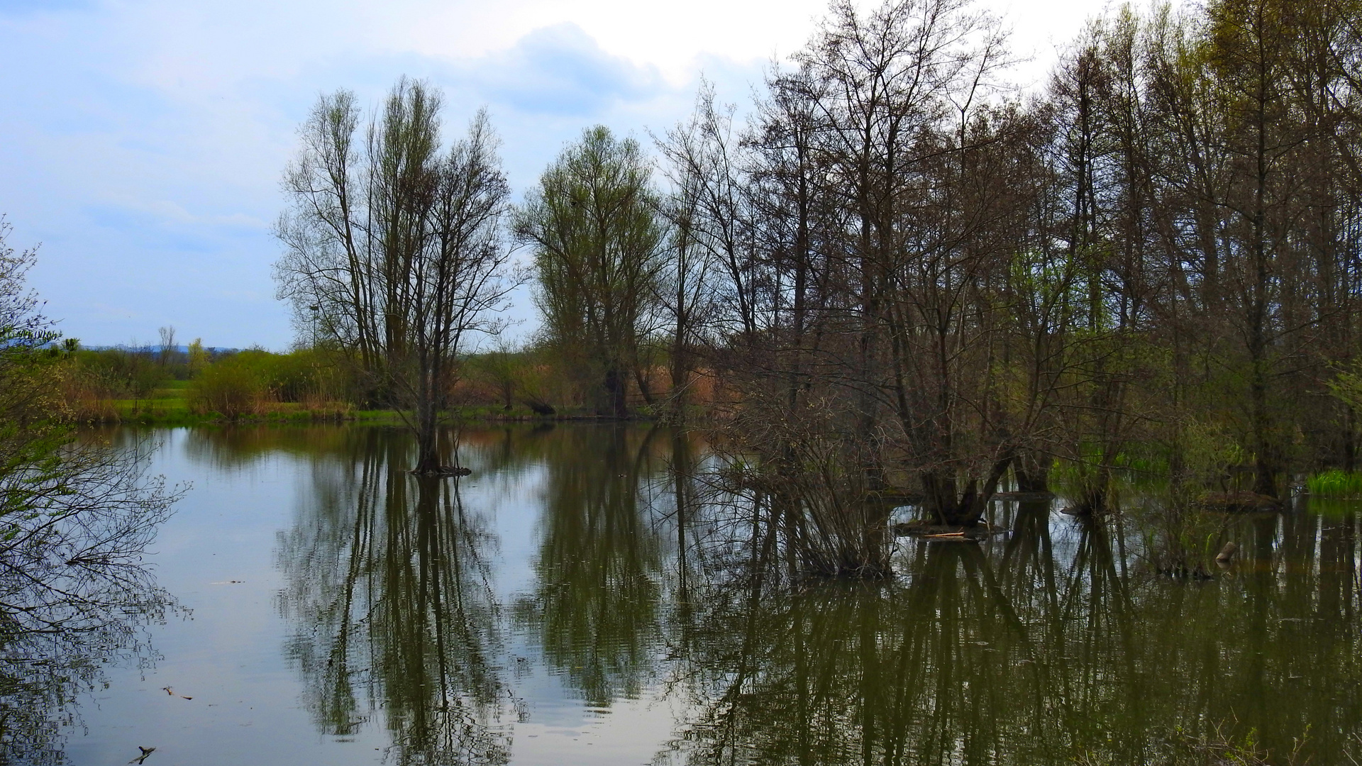 am Altmühlsee 