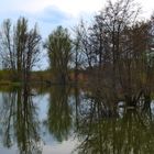 am Altmühlsee 