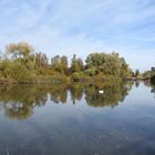 am Altmühlsee