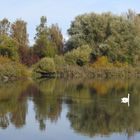 am Altmühlsee 