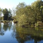 am Altmühlsee 2