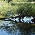 am Altmühlsee  