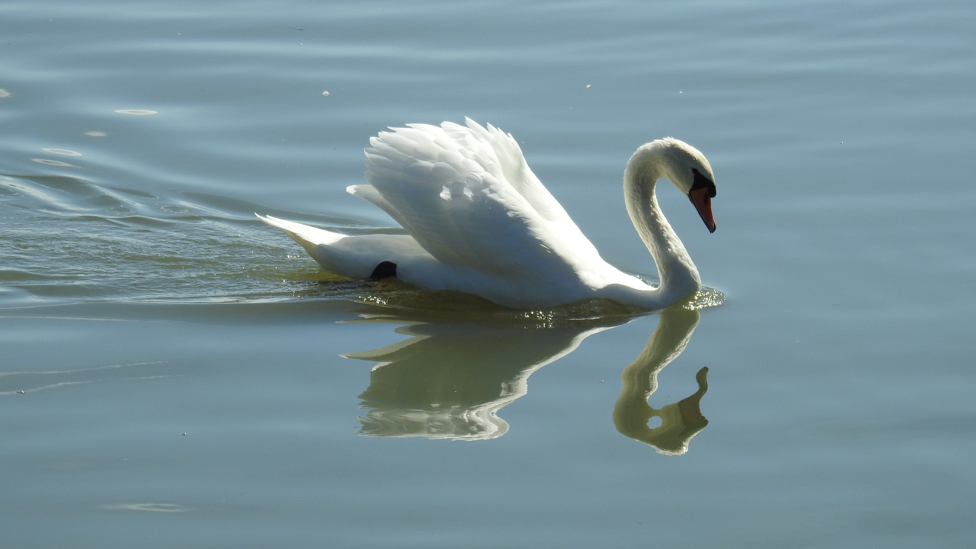 am Altmühlsee  