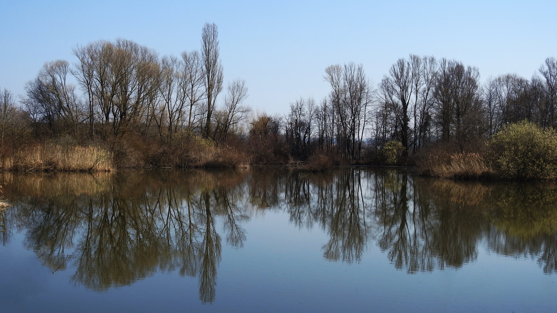 am Altmühlsee 