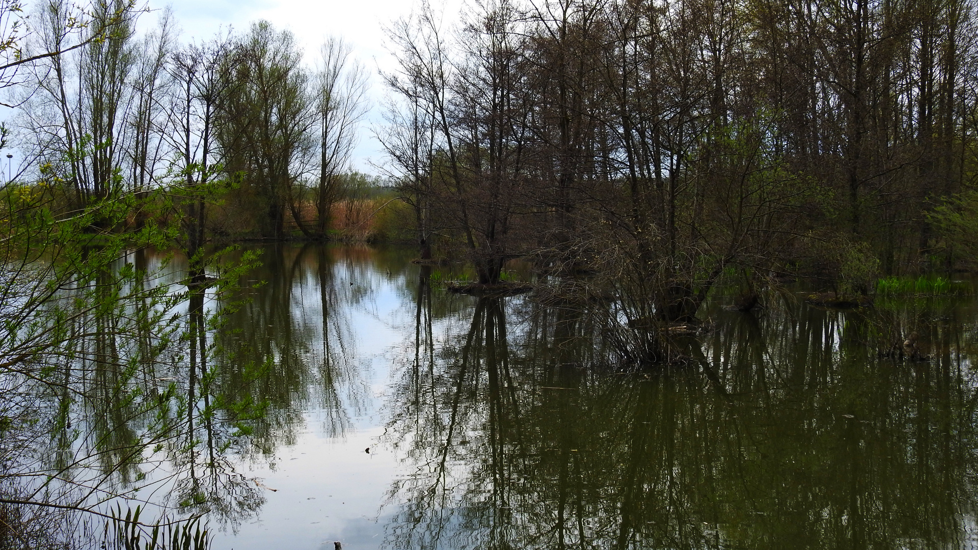 am Altmühlsee