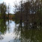 am Altmühlsee