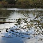 am Altmühlsee 