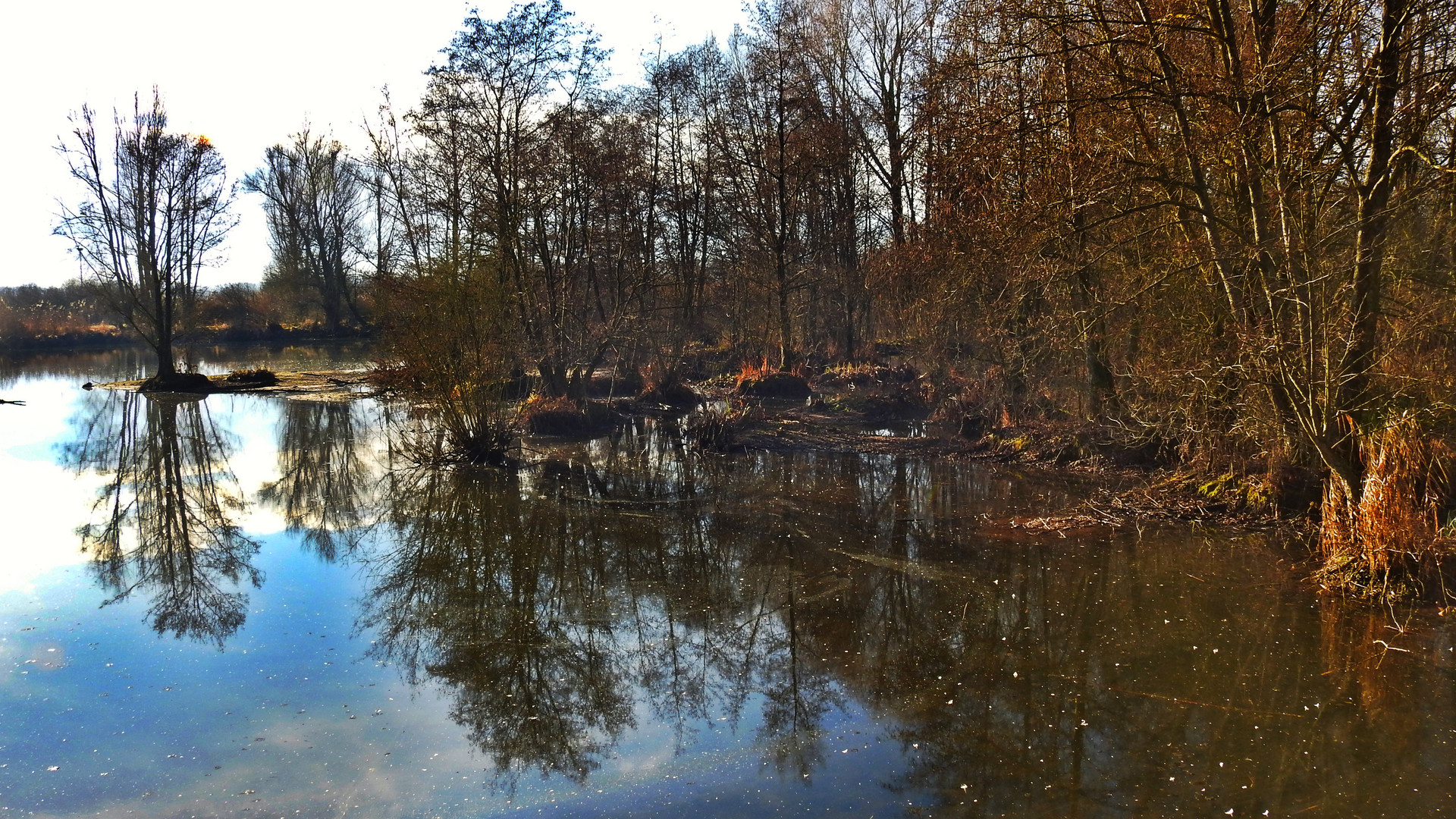 am Altmühlsee  