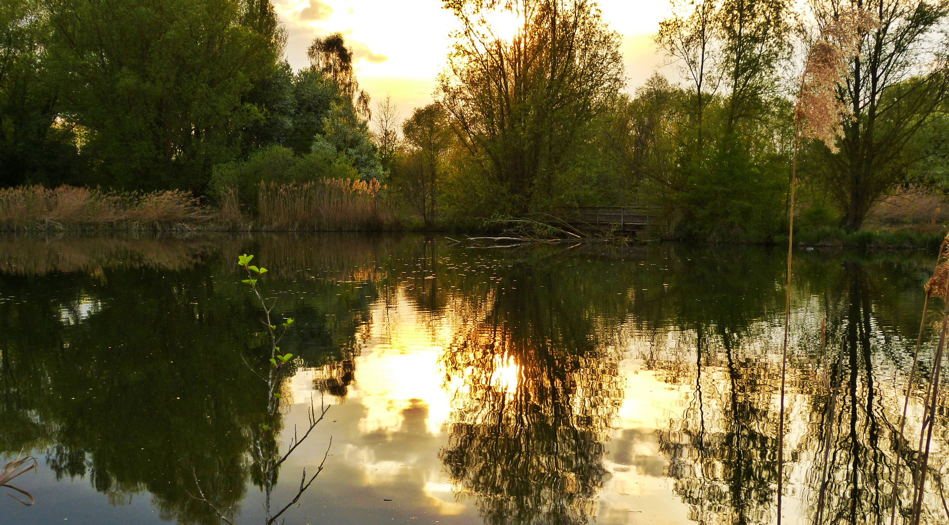 Am Altmühlsee