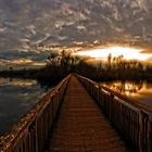 "am Altmühlsee die Brücke zur Vogelinsel"