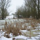 Am Altmühlsee im Vogelschutzgebiet