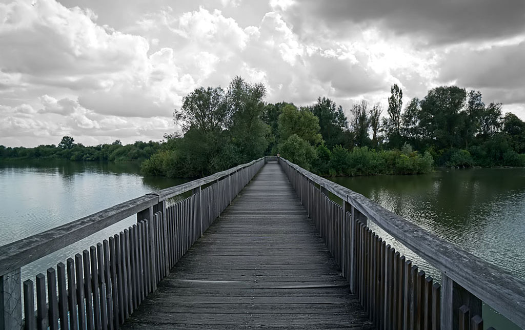 Am Altmühlsee: Steg zur Vogelinsel