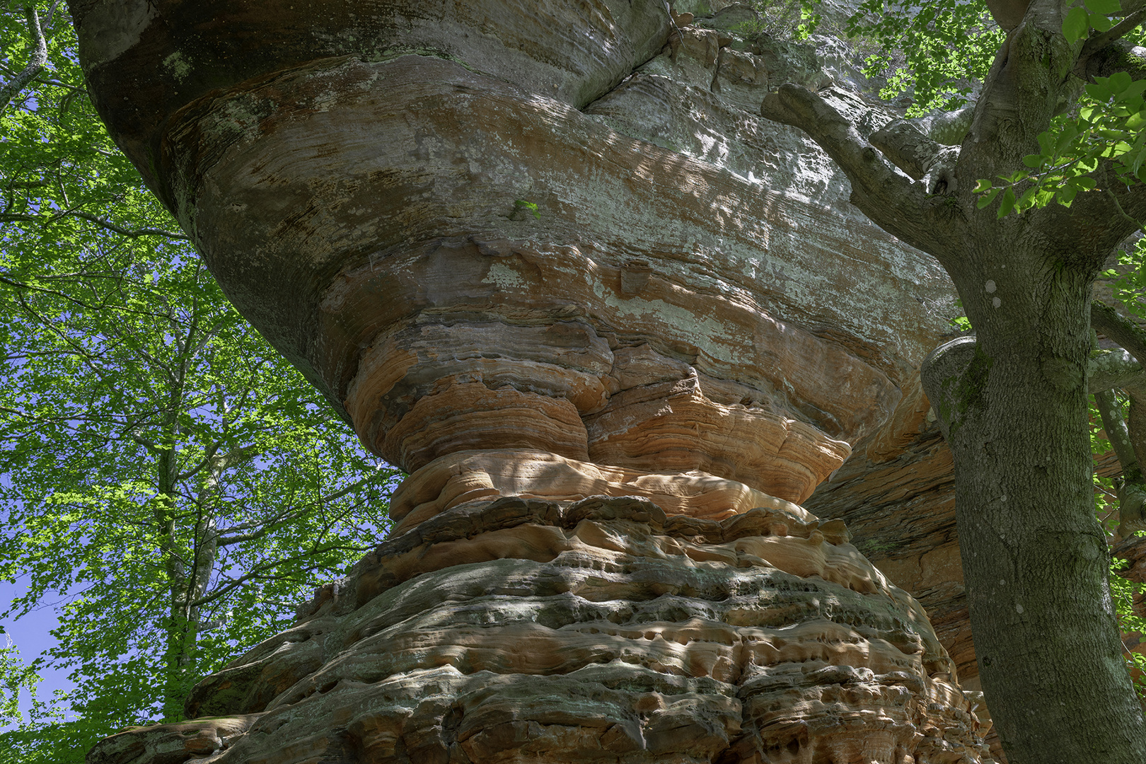 am Altschlossfelsen