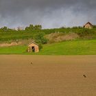 Am Alzeyer Weiher