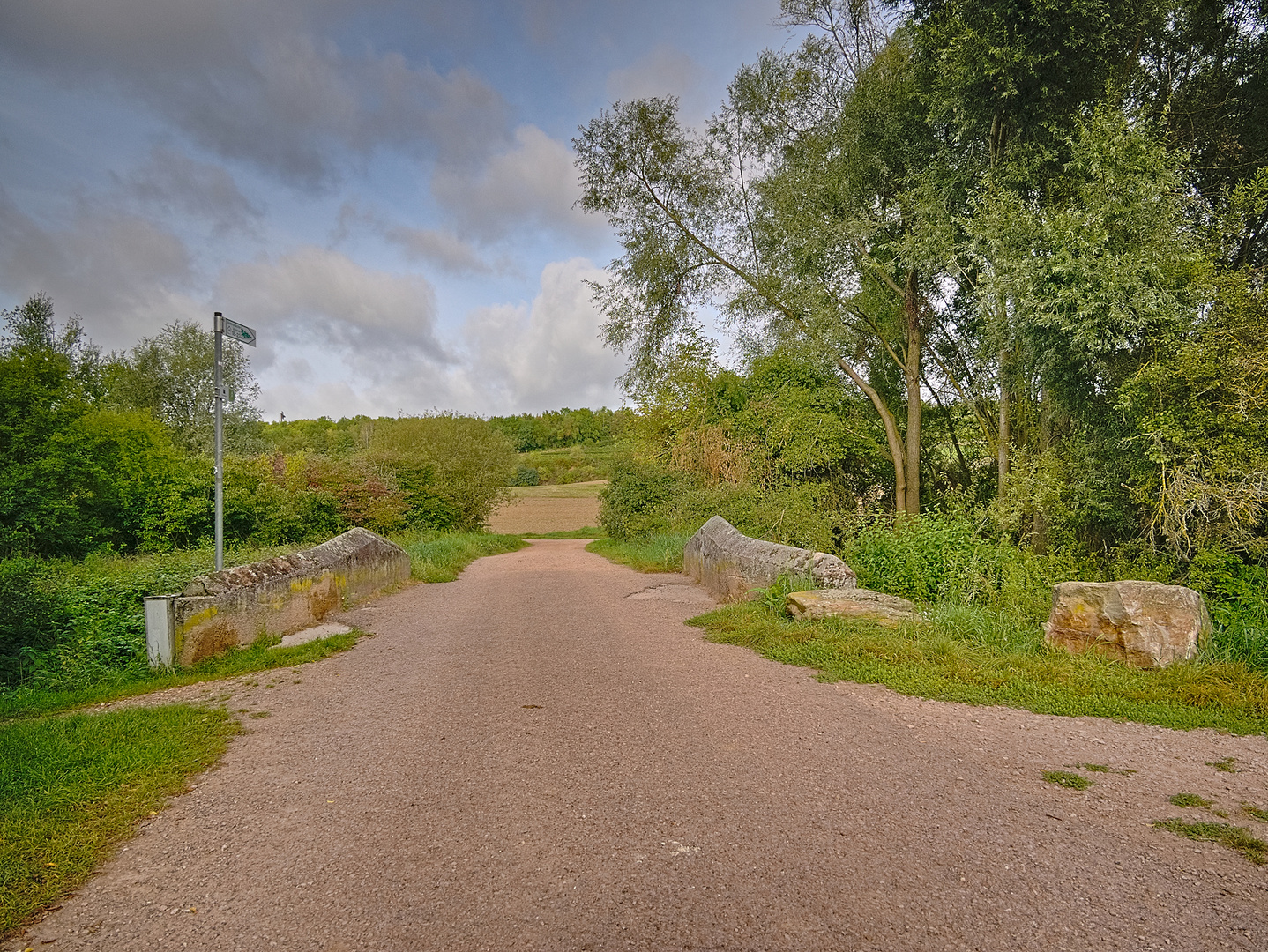 Am Alzeyer Weiher