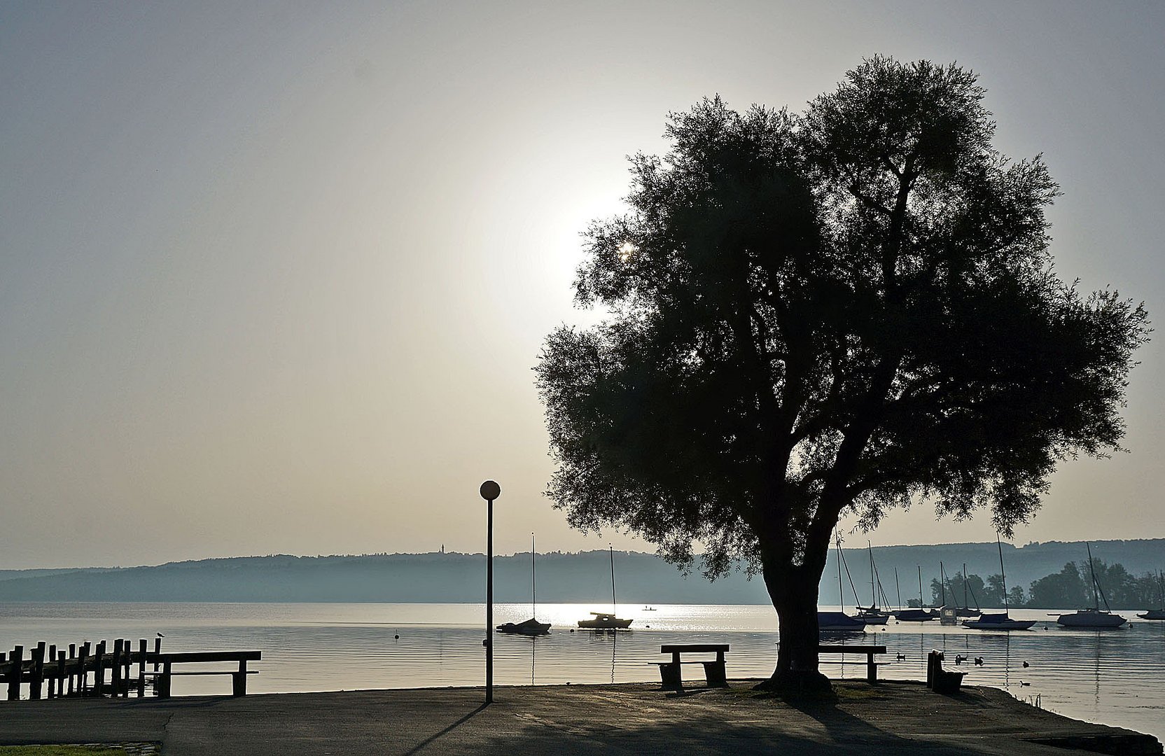 Am Ammersee (1)