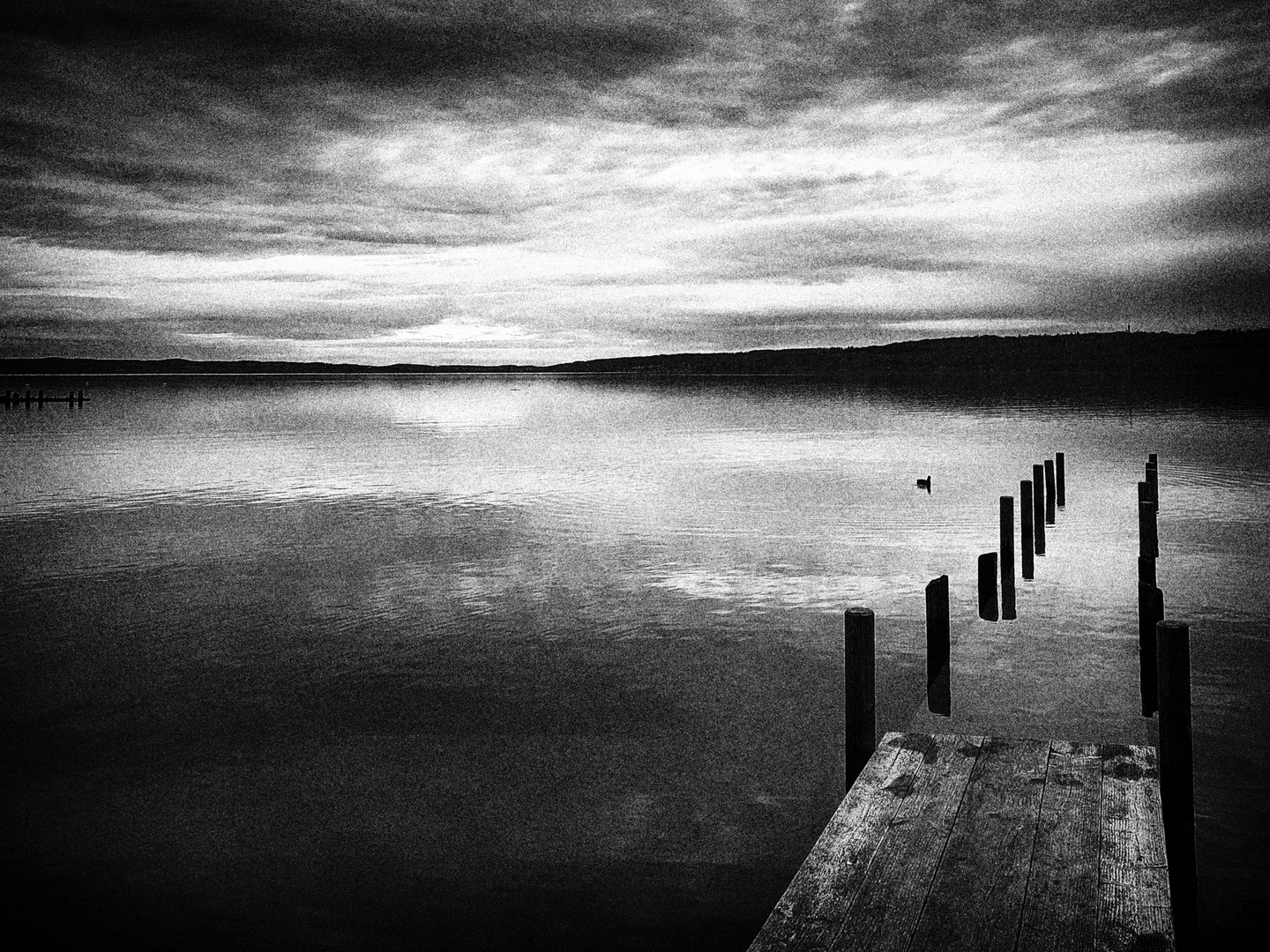 Am Ammersee