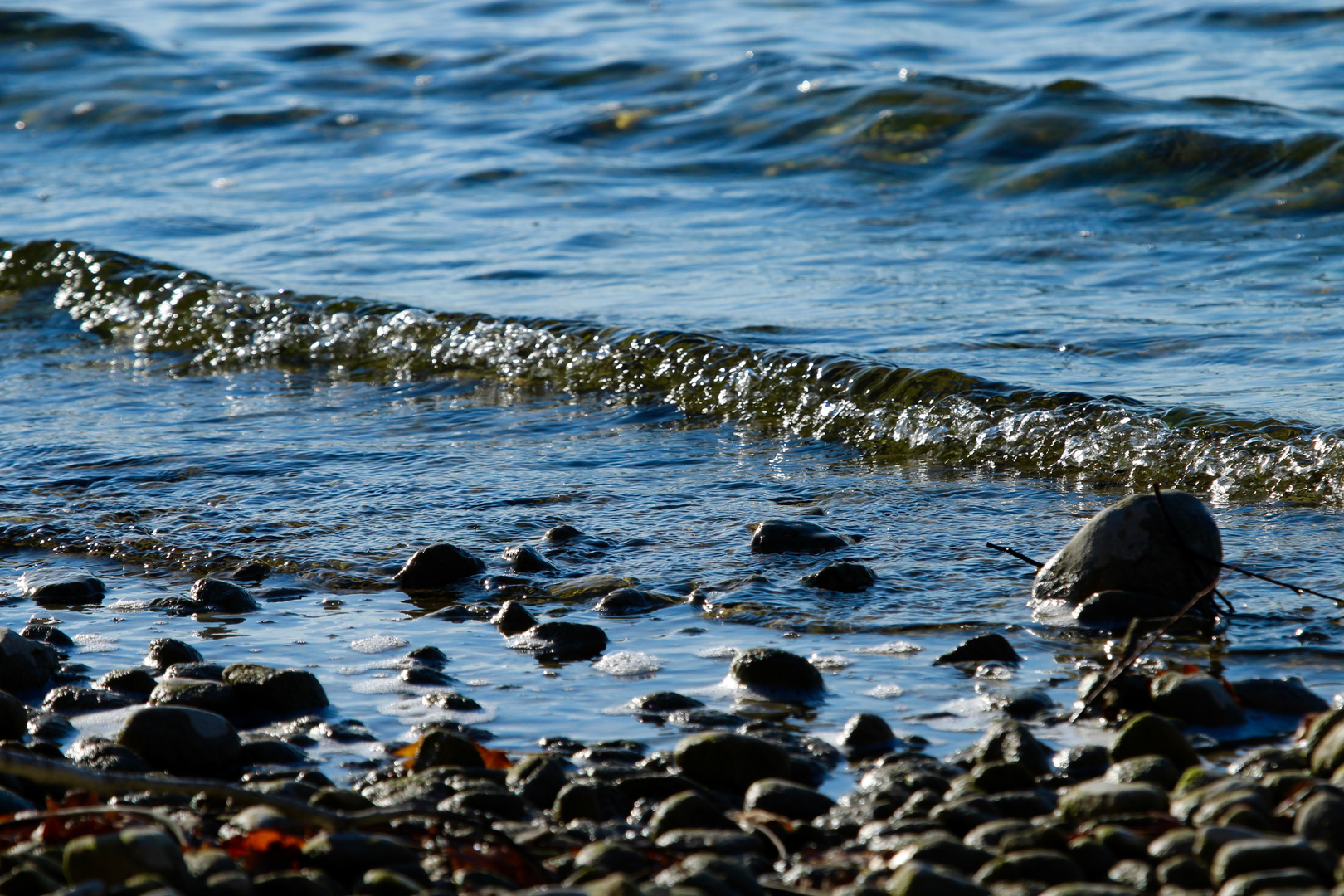 Am Ammersee (3)