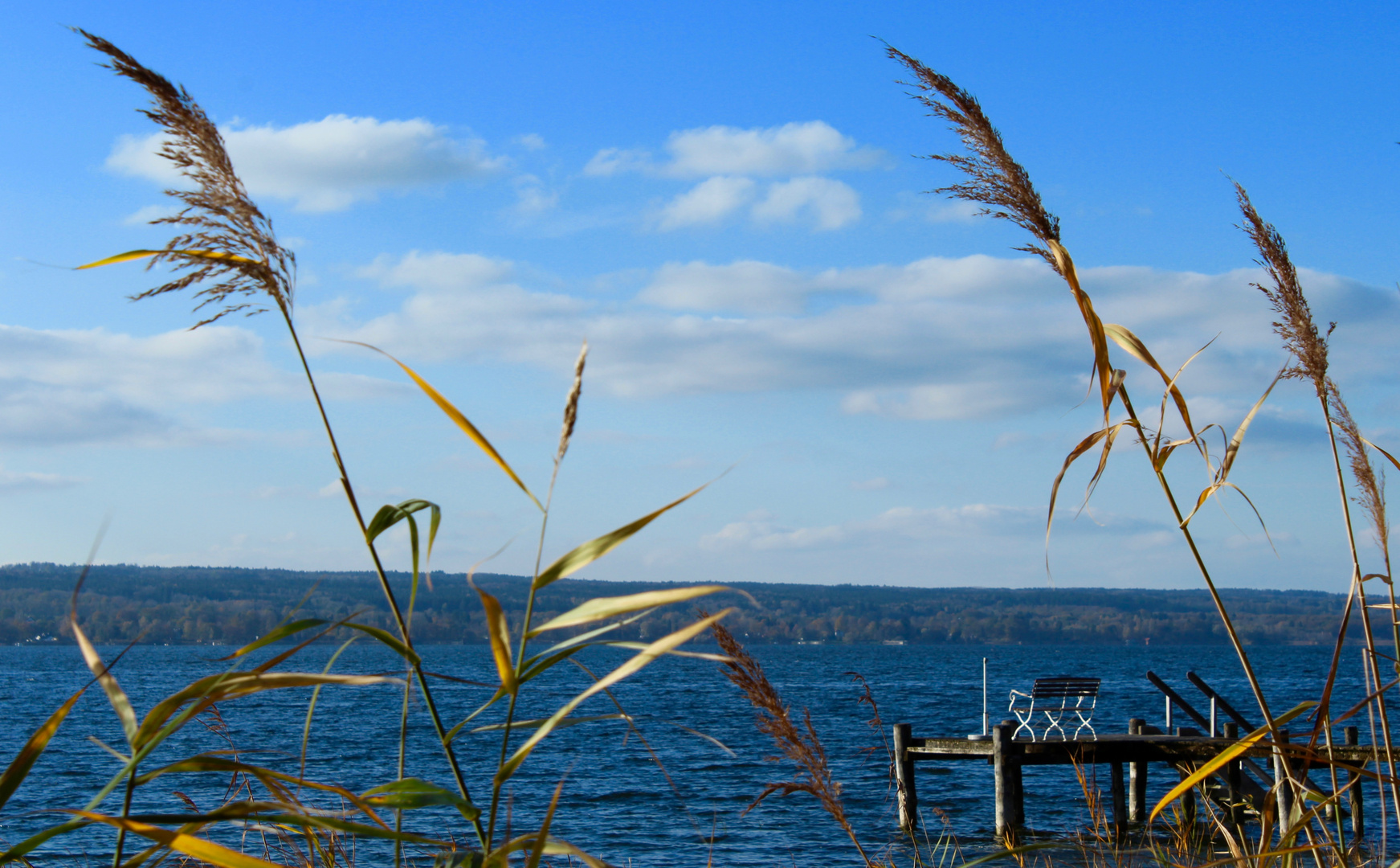 Am Ammersee (5)