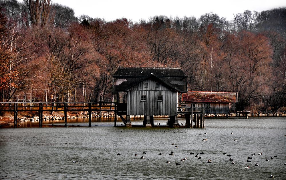 Am Ammersee von Juliane Hellmann 