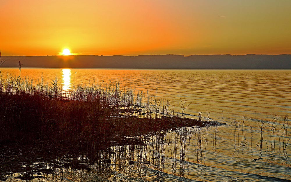 AM AMMERSEE