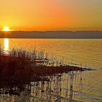 AM AMMERSEE