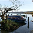 Am Ammersee