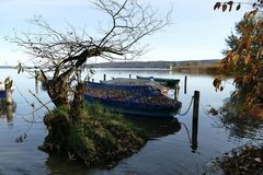 Am Ammersee