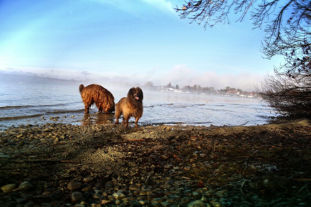 am Ammersee