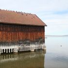 Am Ammersee