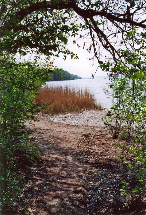 am Ammersee entlang