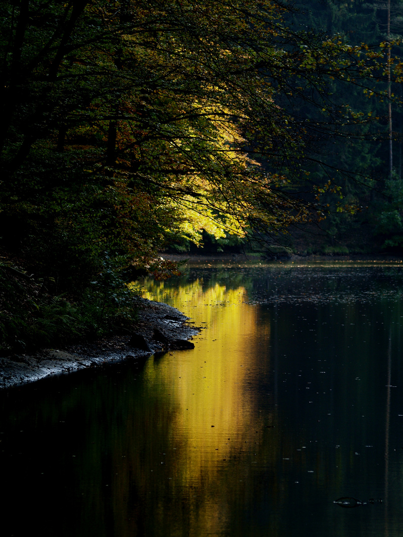 Am Amselsee