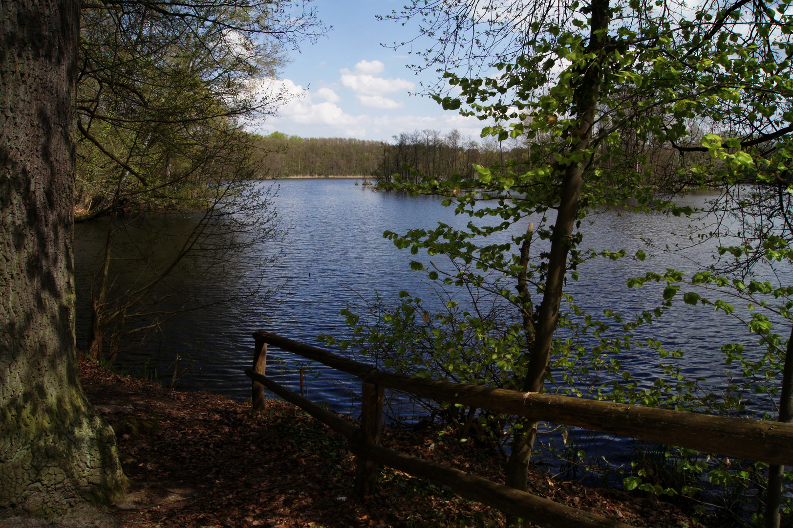 Am Amtssee bei Chorin