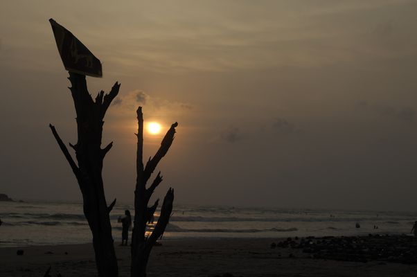 Am anderen Ende der Welt 