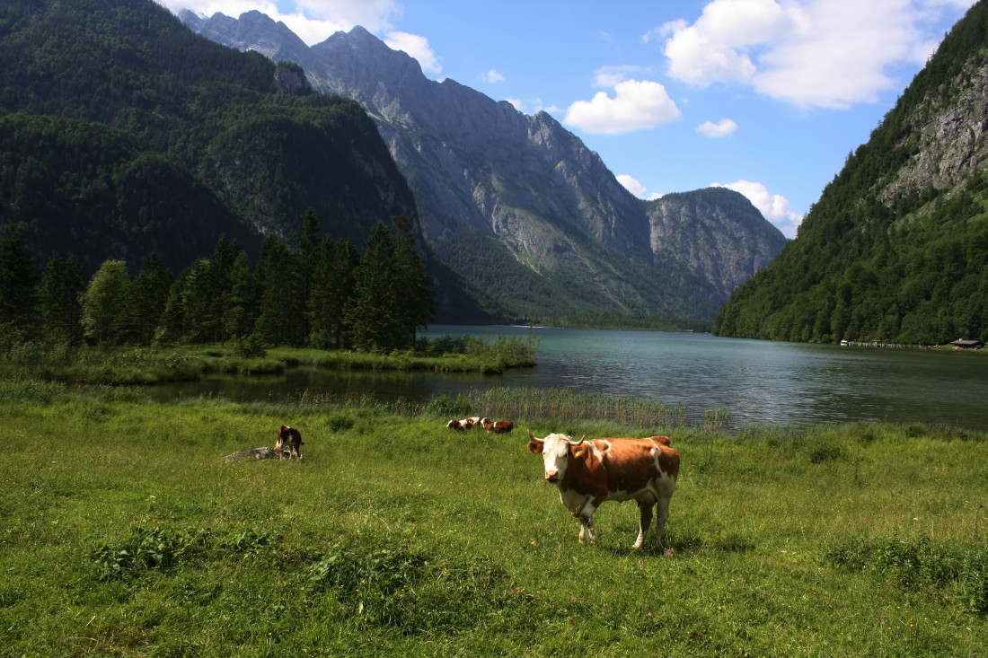 Am anderen Ende des Königssees