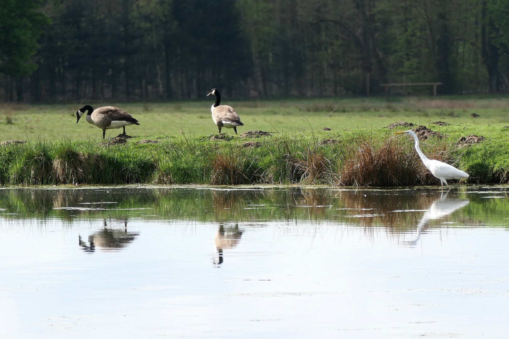 Am anderen Ufer