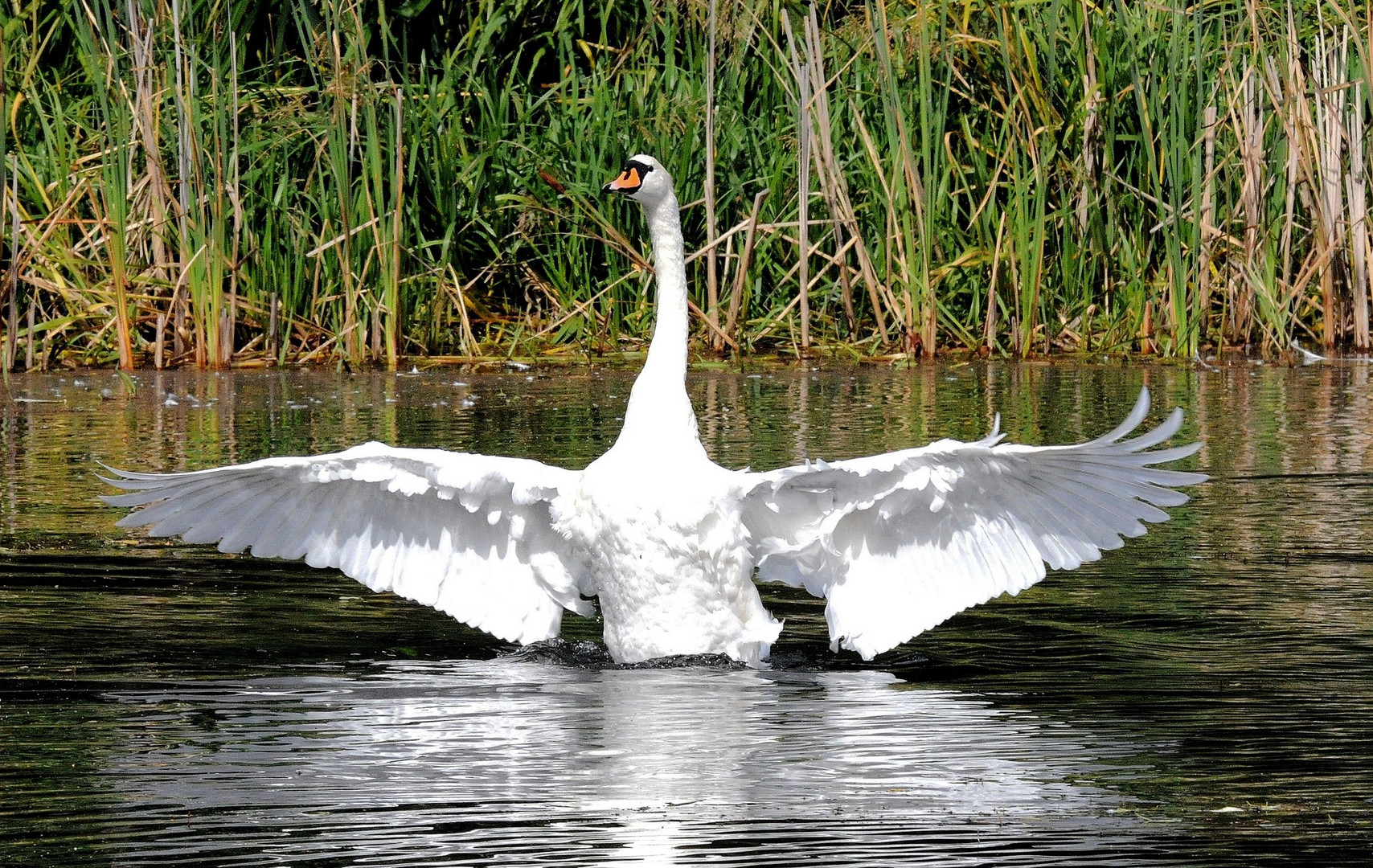 Am anderen Ufer