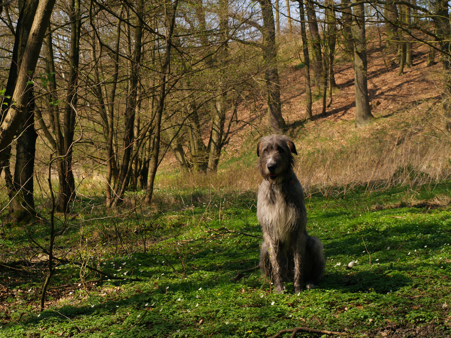 Am anderen Ufer