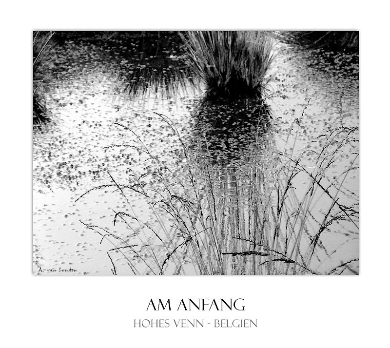 Am Anfang